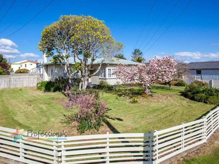121 College Road Edgecumbe_20