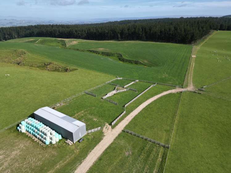 759 Waitahuna Gully Road Manuka Creek_23