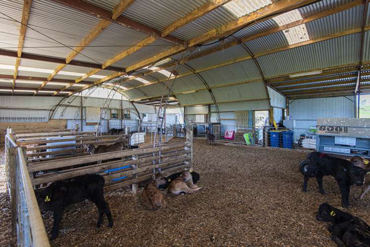 24 Foster Road Dargaville Surrounds_10