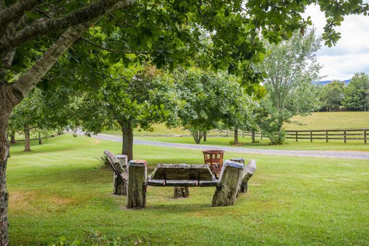 1559 Kahikatea Flat Road Kaukapakapa_7