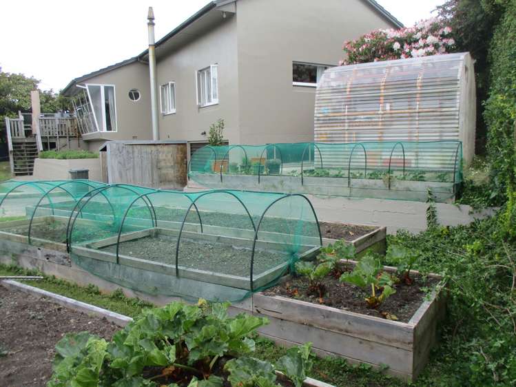 49 Frances Street Balclutha_25