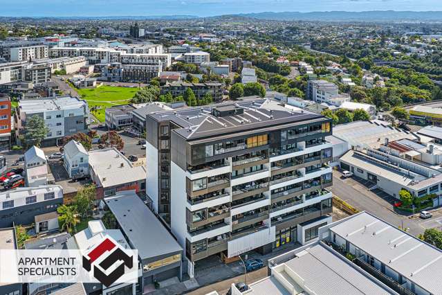 47 Randolph Street Eden Terrace_2