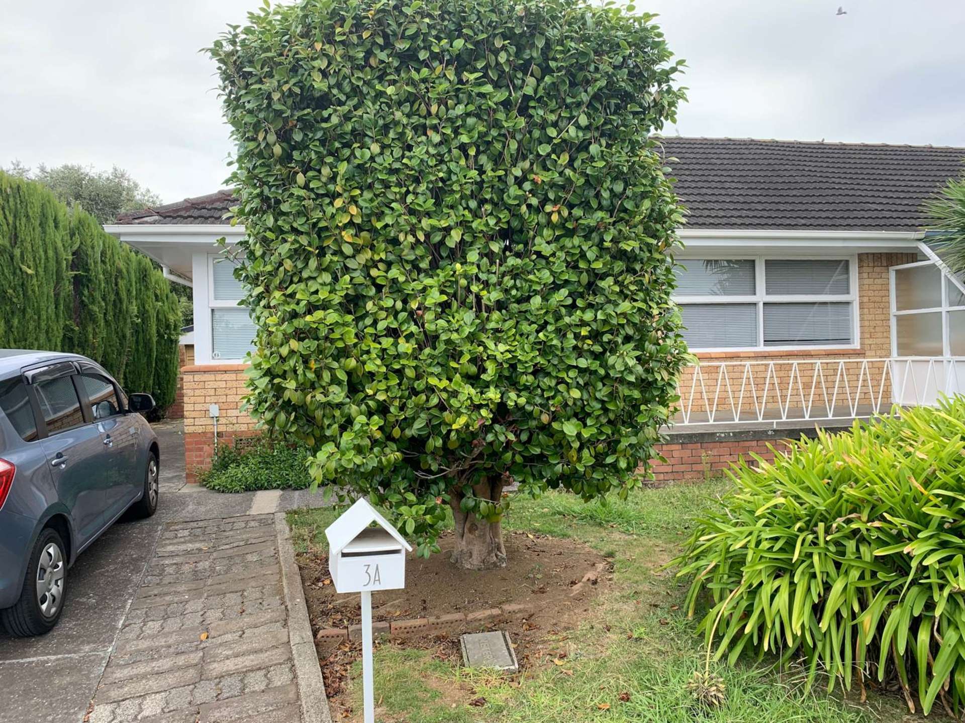 3A Holden Place Papatoetoe_0