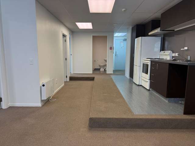 5E/15 Dixon Street Te Aro_1