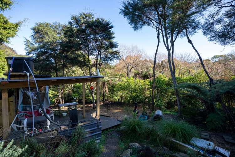 225b Driving Creek Road Coromandel_6