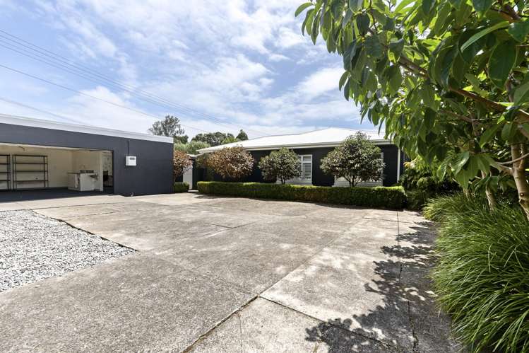 293a Carrington Street Vogeltown_16