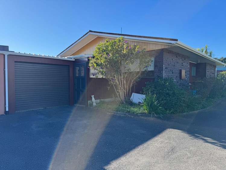  2/145 Tukapa Street Westown_9