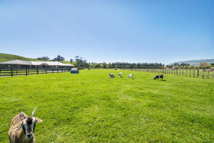 97 Pohangina Road Ashhurst_31