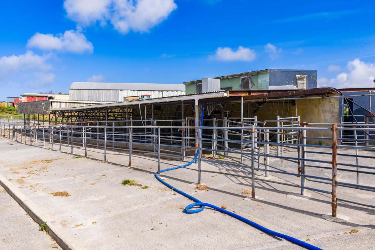 271 Pataua South Road_1