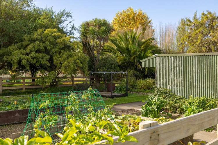 768 State Highway 2 Opaki_25