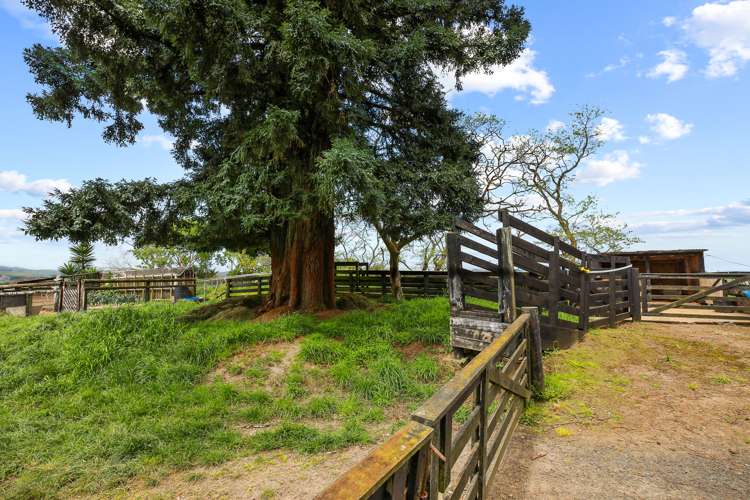 292 Arapuni Road Kihikihi_42