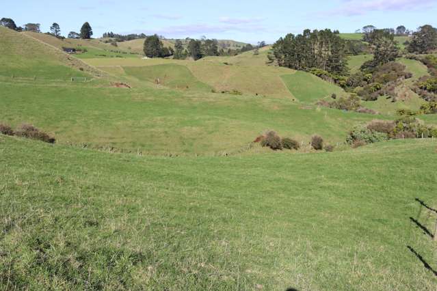 344 Hursthouse Road Inglewood_1