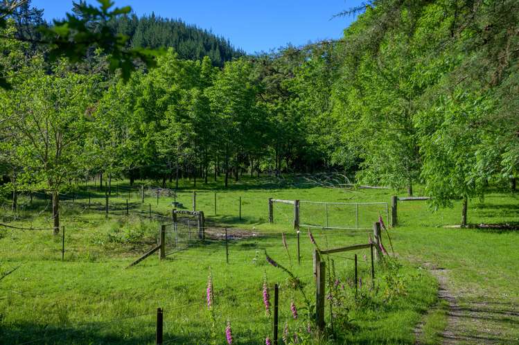 219 Lloyd Valley Road Thorpe_15