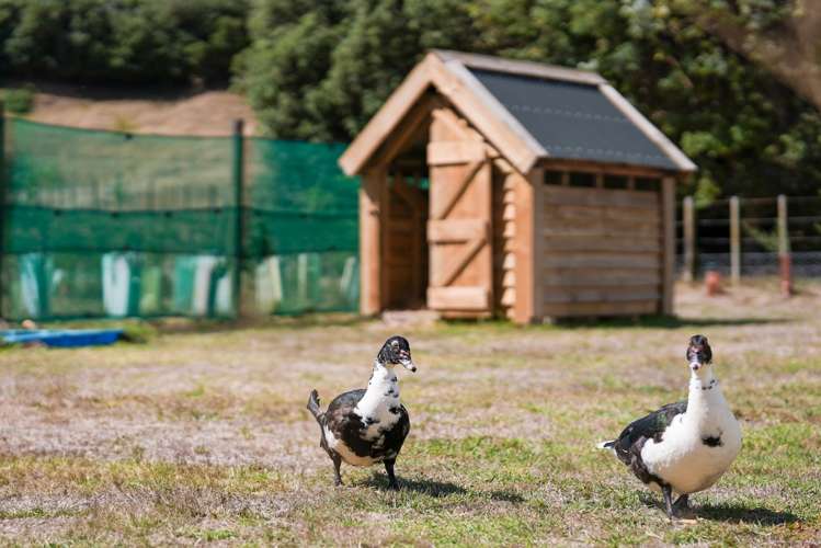 245 Te Hapua Road Te Horo_20