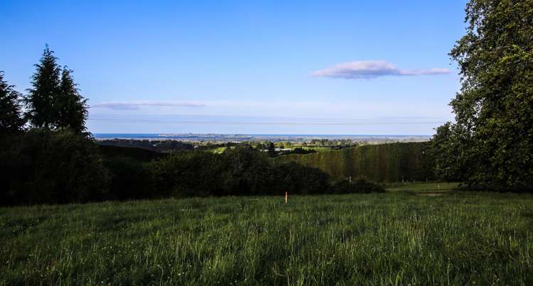 1042 Rangiuru Road_0