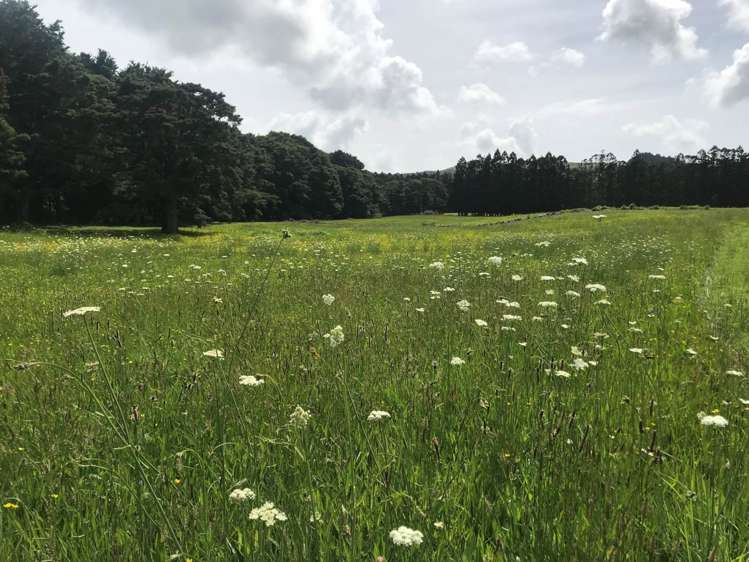 793 Whangaripo Valley Road Whangaripo_30