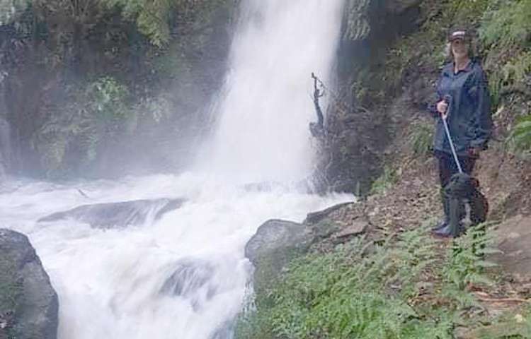 2a Lawrence Street Havelock_26