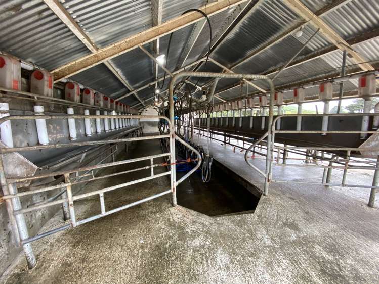 339 Mangaroa Road Eketahuna_18