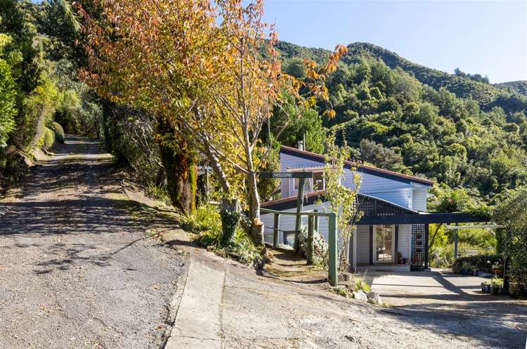 577 Queen Charlotte Drive Havelock_43