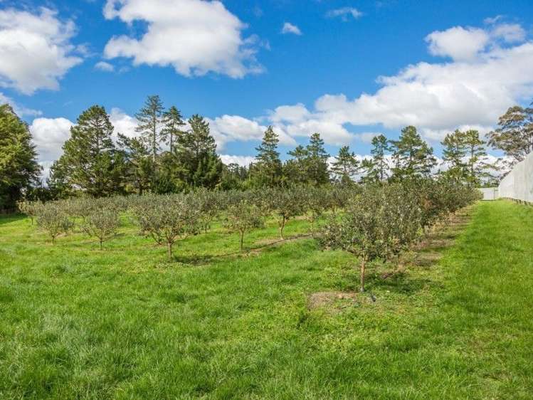 145a Waimate North Road Kerikeri_11