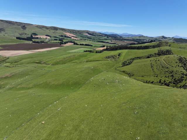 365 Glenure Hill Road Hokonui Hills_3