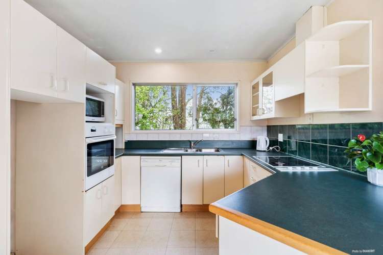 21 Frederick Street Hillsborough_10