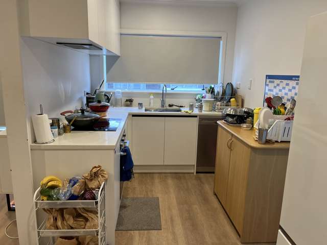 2/513 Manukau Rd Epsom_3