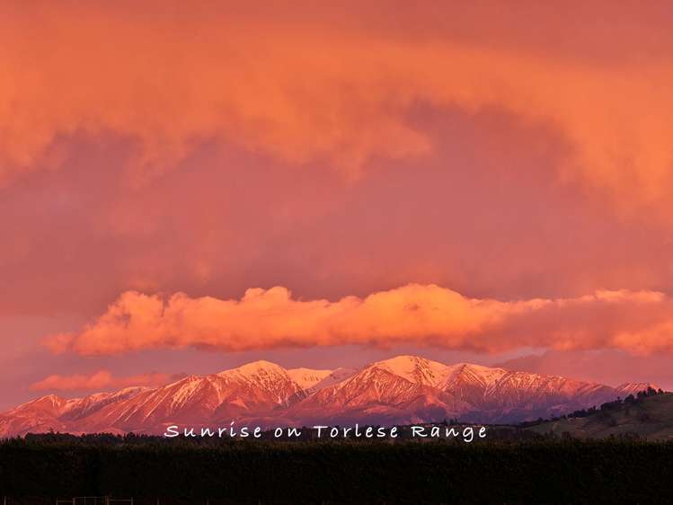 48 Gardiners Road, Starvation Hill Oxford_8