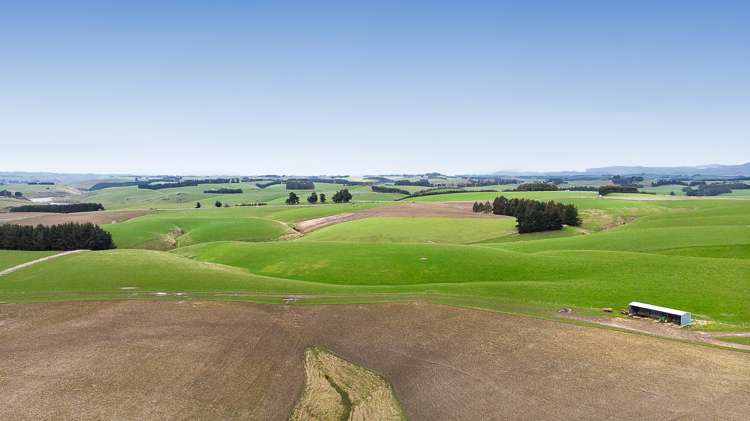 675 Black Bridge Road Clutha_11