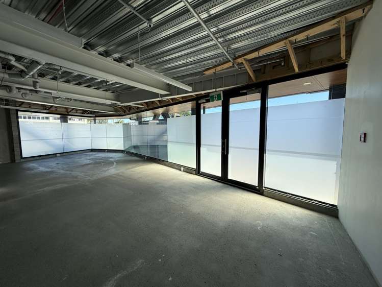 1 Enfield Street Mount Eden_4