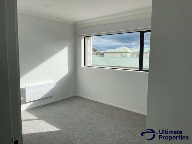 3/180 Ulster Street Whitiora_4