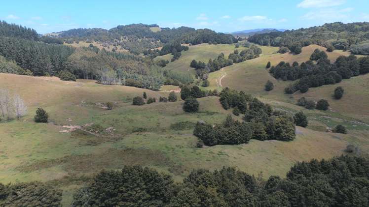 328 Oetzman Road Towai_13