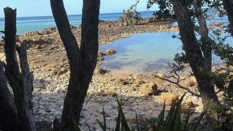 554 Boat Harbour Road Whenuakite_31