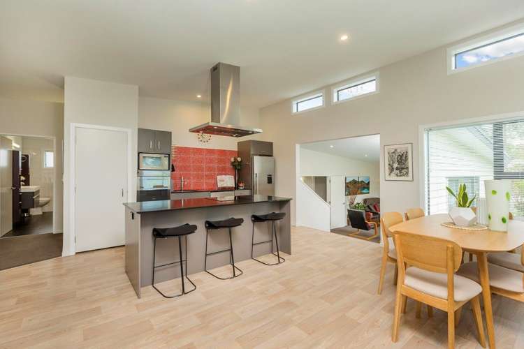 297a Hillsborough Road Hillsborough_10