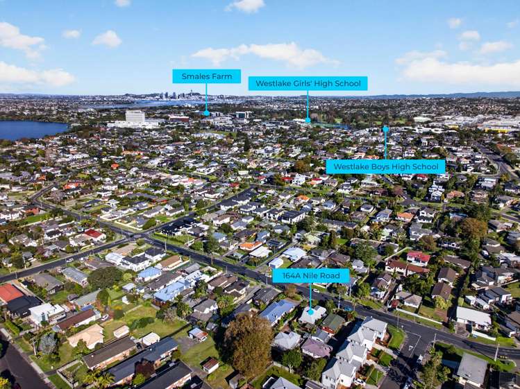 2/164 Nile Road Milford_18