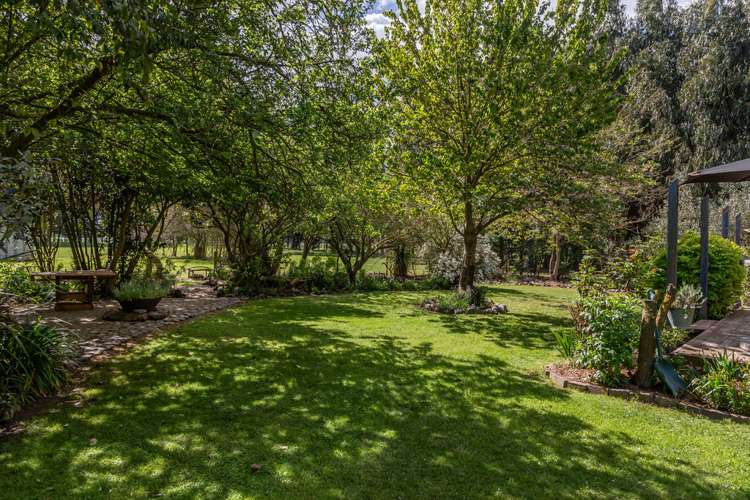 26 Albert James Place Dunsandel_16