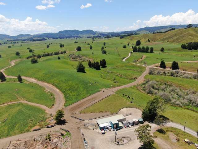 967 Ohura Road Aria_1