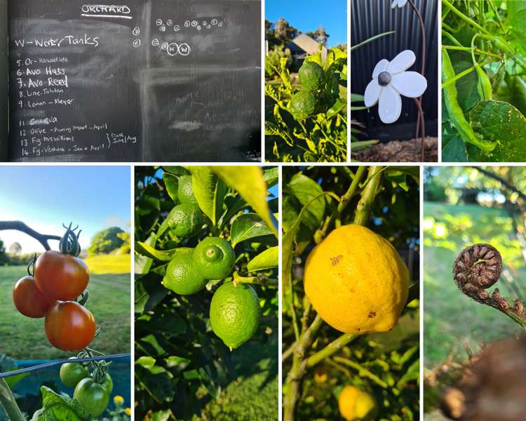 724b Ruapuke Road Raglan_39