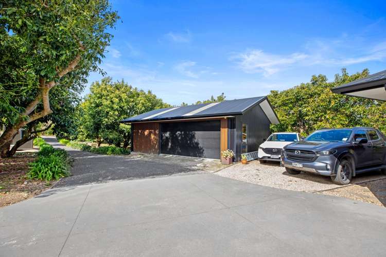 70A Francis Road Whakamarama_17