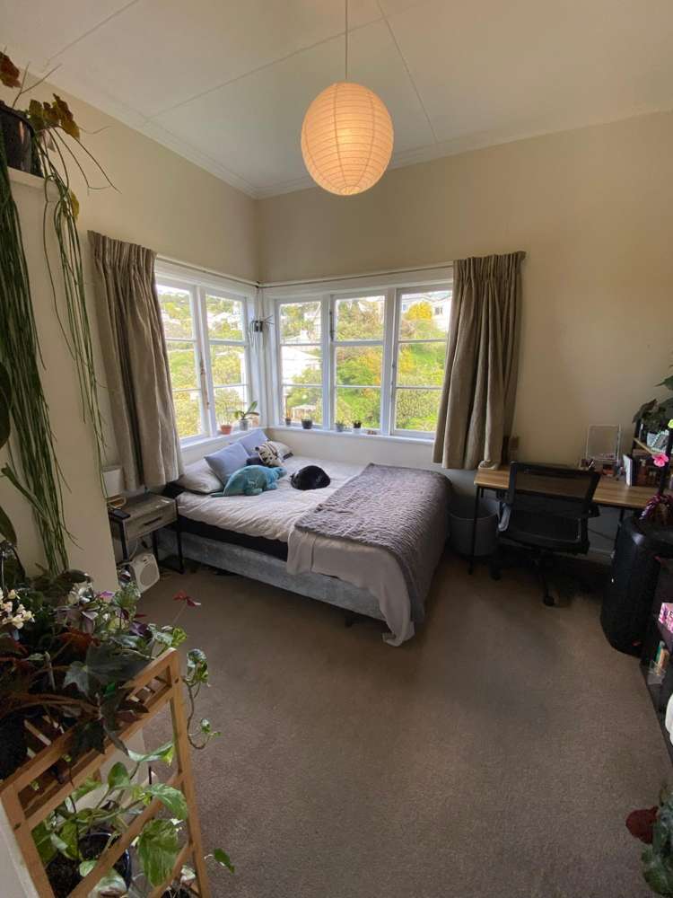  A/17 Plunket Street Kelburn_14