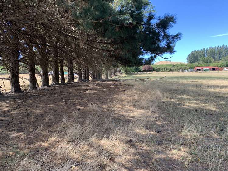 113 Ward Road Cheviot_11