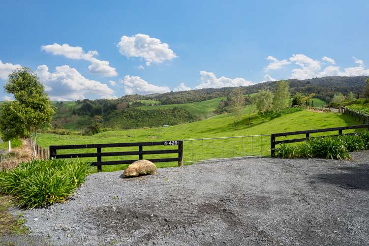 1/429 Te Miro Road Te Miro_2