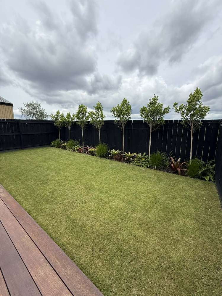 8 Berba Lane Westgate_22