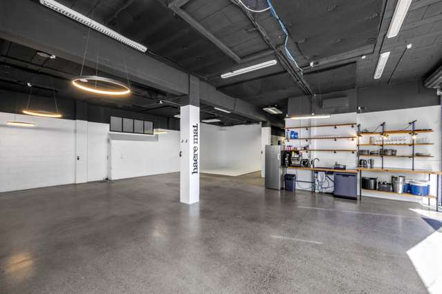 37 Crummer Road Grey Lynn_1