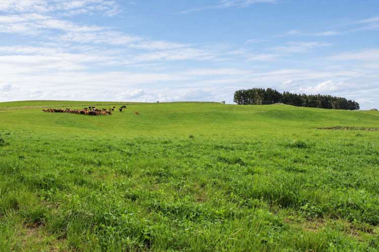 865 Wallaces Ford Road Clarks Junction_8