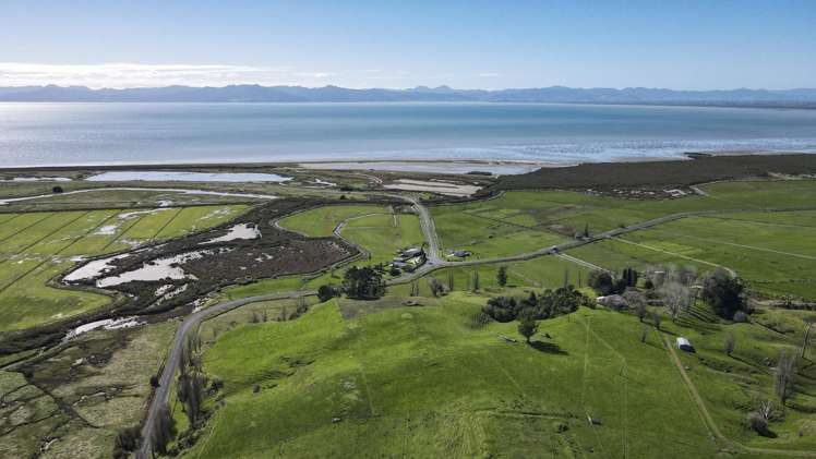 905 Miranda Road Miranda_6