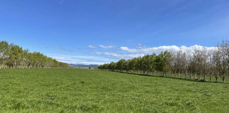 799 Kaka Point Road Balclutha_12