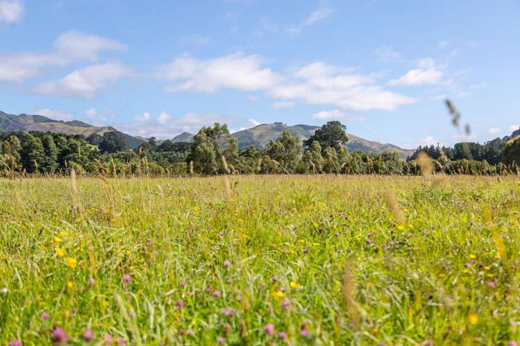 89 Hinau Gully Road Carterton_9