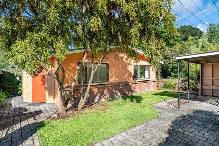 33 Tannadice Street Normanby_1