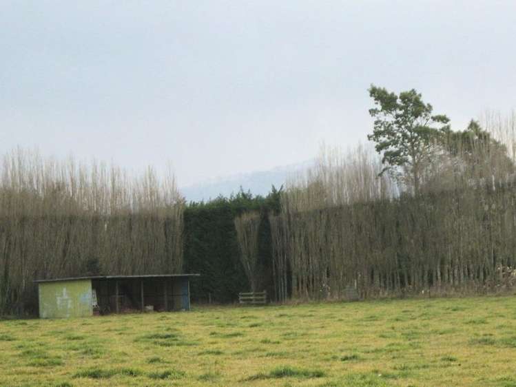 Templer Street Geraldine_6